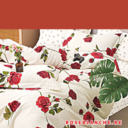 motif 43