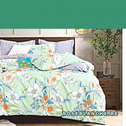 motif 52