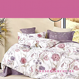 motif 59