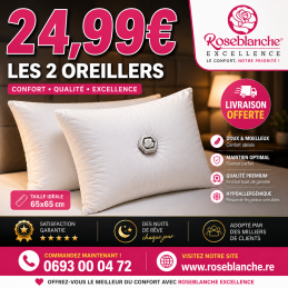 LOT DE 2OREILLERS